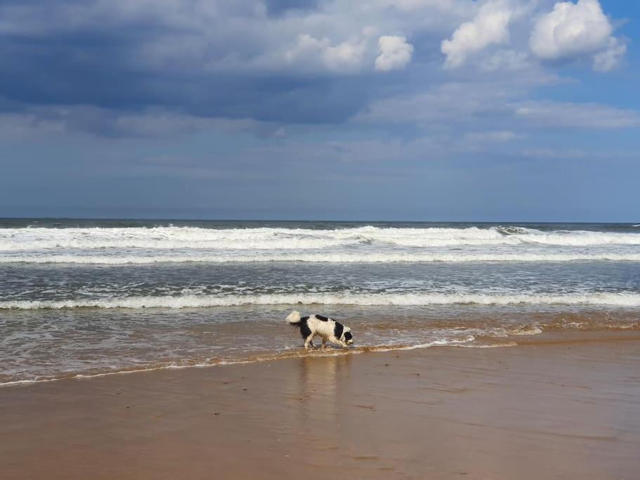 Sandstone Cottage Marske-by-the-Sea Bagian luar foto